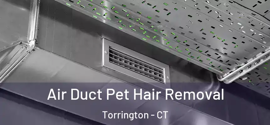 Air Duct Pet Hair Removal Torrington - CT