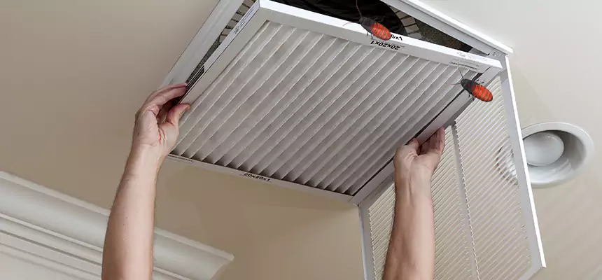 Preventive Cockroach-Proofing for Ducts in Torrington