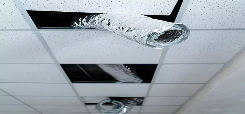 Affordable HVAC Sanitizing After Pest Removal in Torrington