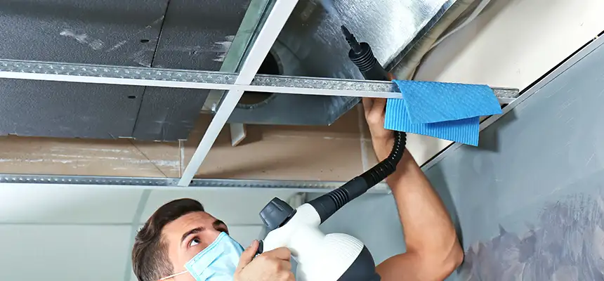 Our Air Duct Rodent Removal Services in Torrington, CT