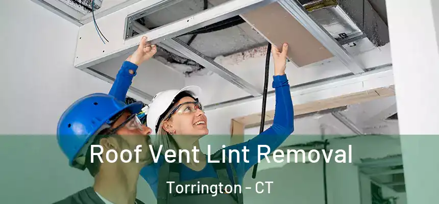  Roof Vent Lint Removal Torrington - CT