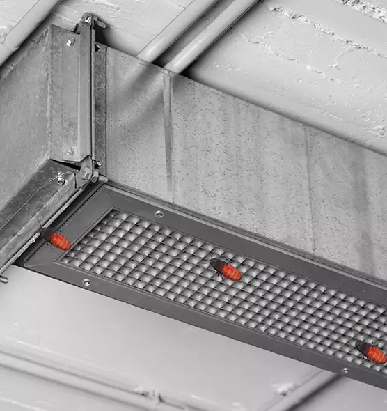 About Air Duct Cockroach Removal in Torrington, CT