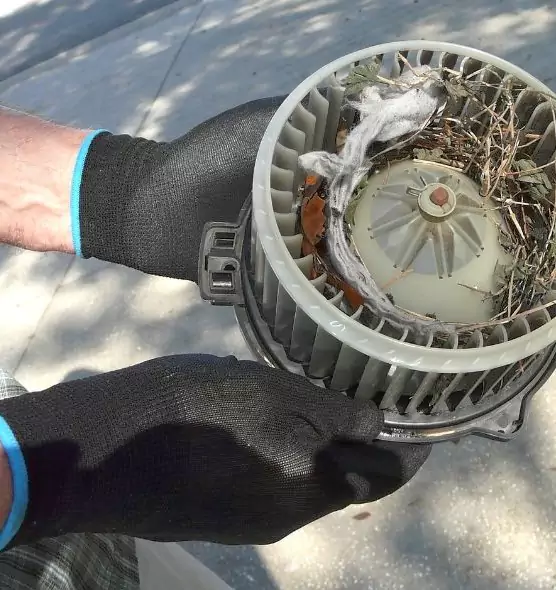 About Air Duct Mice Removal in Torrington, CT