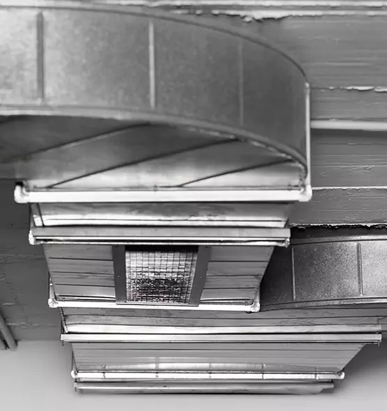 Professional Air Duct Pest Removal in Torrington, CT